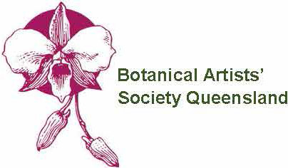 Botanical Artists Society Queensland logo