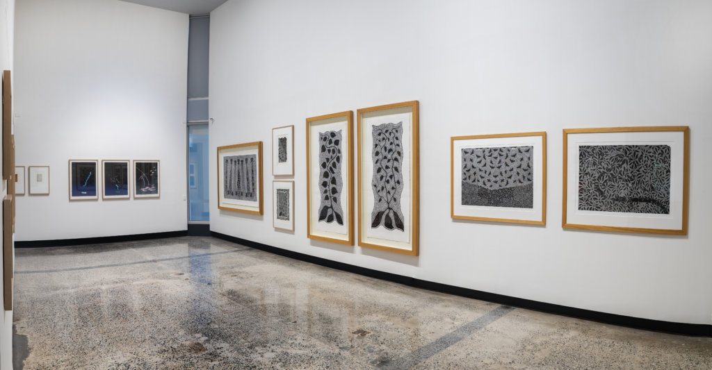 Installation view of Billy Missi'n Wakain Thamai at NorthSite Gallery